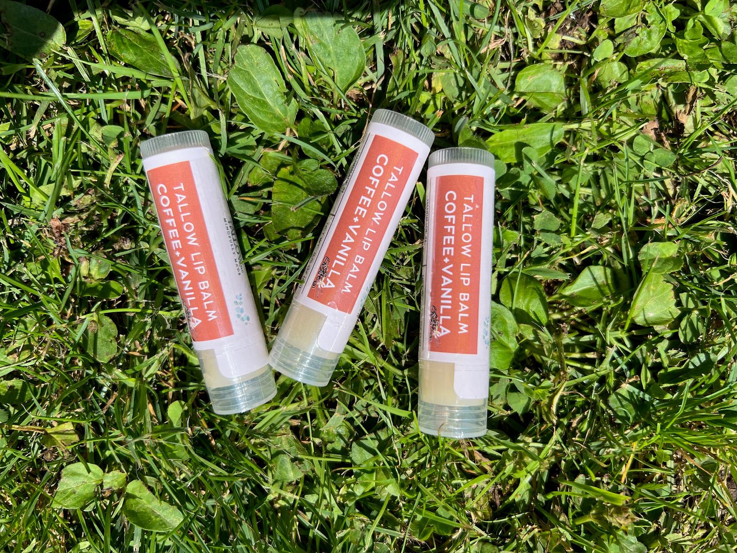 Tallow Lip Balm