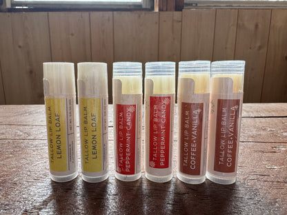 Tallow Lip Balm