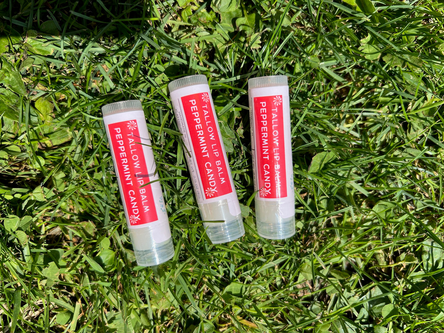 Tallow Lip Balm